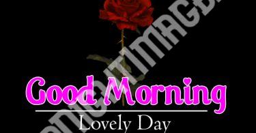 Beautiful Good Morning 4k Images Download For GF / Friend