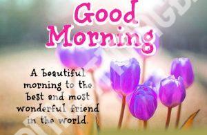 Suvichar Good Morning Images In Hindi HD Download