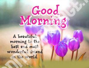 Suvichar Good Morning Images In Hindi HD Download