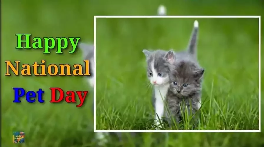 National Pet Day Whatsapp Image